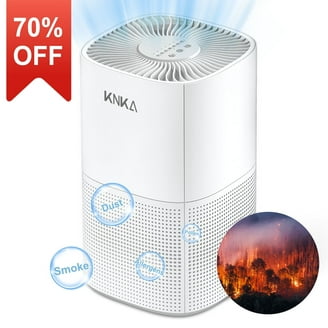 Dyson Purifier Hot+Cool Purifying Heating Fan HP7C - Walmart.com