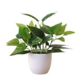 thumbnail image 2 of Fake desk Plant, Fake Plant decor, Artificial Plant, Small Faux Plant, Living Room Plant, Plant decorations, Living Room Table decor, 9 in, Matte Pot, 1 Pc, House decorations, 2 of 4