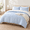 Blue White-Queen, variant on - Stripedforter Set Ticking Stripe Vertical Pinstripe Neutral Farmhouse Pattern Printed Soft Lightweight Bedding 3 Pieces Blue Wh