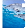 thumbnail image 4 of Coolnut Mailbox Covers, Magnetic Standard Size Dolphins Posing in Clear Water Seasonal Mail Wraps for Home Outdoor Decor, 20.7"x18.03", 4 of 5