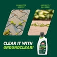 thumbnail image 3 of Ortho GroundClear Weed and Grass Killer2 Concentrate, Kills Moss and More, 32 fl. oz., 3 of 15
