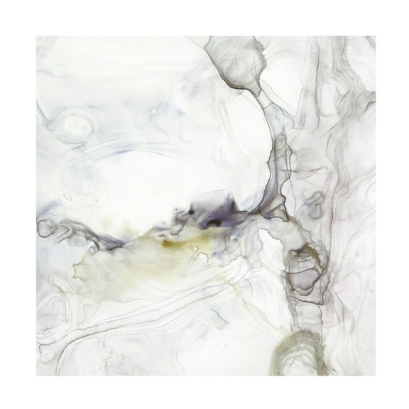 Canvas Wall Art - Victoria Borges 'Sedimentary I' Wall Art for Living Room, Bedroom, or Office Décor by Trademark Fine Art - 35 x 35 Inches