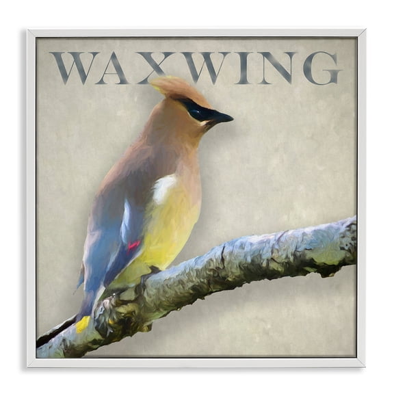 Stupell Industries Farmhouse Waxwing Bird Perched Wildlife Breed Typography White Framed Giclee Art, 12 x 12, by Alpenglow Workshop