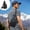Black1, variant on VBODN Shoulder Bags, Trendy Leather Crossbody Purse, Anti-Theft Clip for Extra Safety, Leather Shoulder Bag Trendy Everyday Tote Handbag
