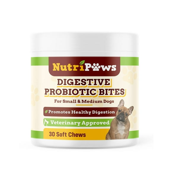 Dog Digestive Probiotics for Optimal Gut Health - Anti Diarrhea Treatment - Enriched with Digestive Enzymes - 30 Probiotic Chews for Dogs