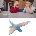 thumbnail image 3 of Modèle de Poisson Volant, Design Exquis pour Comprendre les Animaux, Cadeau Parfait, Jouet de Simulation Universellement Reconnu pour École et Chambre, 3 of 7