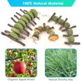 thumbnail image 3 of Bunny Chew Toys, Rabbit Chew Toys for Teeth Grinding, Improve Dental Health, 100% Natural Apple Wood Timothy Grass Cake Treats for Rabbits Guinea Pigs Chinchillas Bunnies Hamsters (3 Pcs), 3 of 7