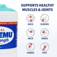 BlueEmu Original Joint and Muscle Cream, OTC Soothes and Supports, 12