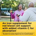 thumbnail image 4 of Nature Made Iron 18 mg Per Serving with Vitamin C Gummies, Dietary Supplement, 60 Count, 4 of 8