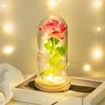 thumbnail image 4 of Valentines Day Gifts For Girlfriend & Wife, Girlfriend Presents,Cool Gifts To Get Your Girlfriend,Forever Preserved Rose Night Light in Glass / Dome,Valentine's Day Decor, 4 of 4