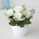 thumbnail image 3 of Gwong Decoración hogareña Flor Fake Flower Simulated Dinning Decor Decoración de plástico Dormitorio Imating Potted Flower para el hogar Gwong 21061534, 3 of 6
