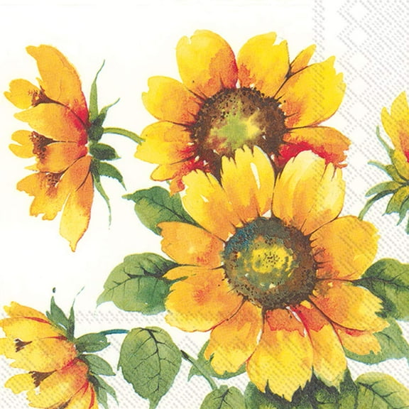 Boston International IHR 20-Count Luncheon 3-Ply Paper Napkins, 6.5 x 6.5-Inches, Colourful Sunflowers