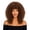 D003- Brown, variant on Women's Themed Dress Up Wig, Stage Wig, Heat Resistant Wig, Red to Dark Root Curly Hairpiece, 16 Inch Ombre Red Short Curly Synthetic Wig for Halloween Party, Character