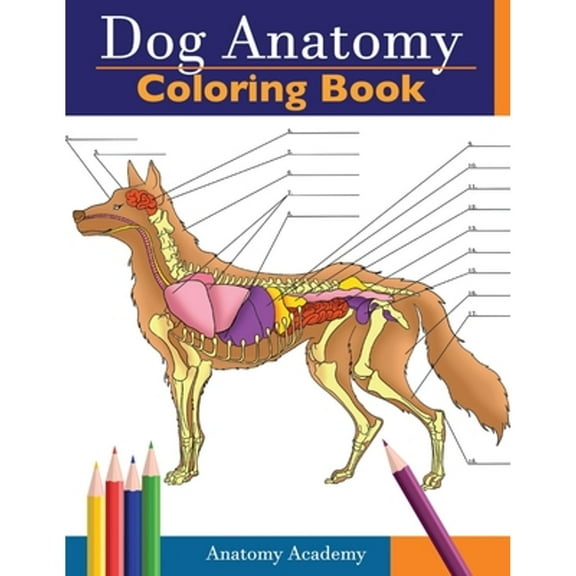 Pre-Owned Dog Anatomy Coloring Book: Incredibly Detailed Self-Test Canine Anatomy Color workbook Perfect Gift (Paperback) by Anatomy Academy