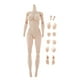 thumbnail image 3 of De Acción De Cuerpo Sin Costuras A Escala 1/6 Con Escultura De Cabeza Manos Y Pies De Repuesto SM SunniMix Figura de acción cuerpo desnudo, 3 of 8