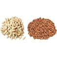 thumbnail image 4 of Food Library The Magic Of Nature Afghan Pine Nuts (Chilgoza) With Shell, 200G, 4 of 5
