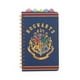 thumbnail image 1 of Cuaderno espiral plateado Buffalo Harry Potter Hogwarts de 5 pestañas, 1 of 9