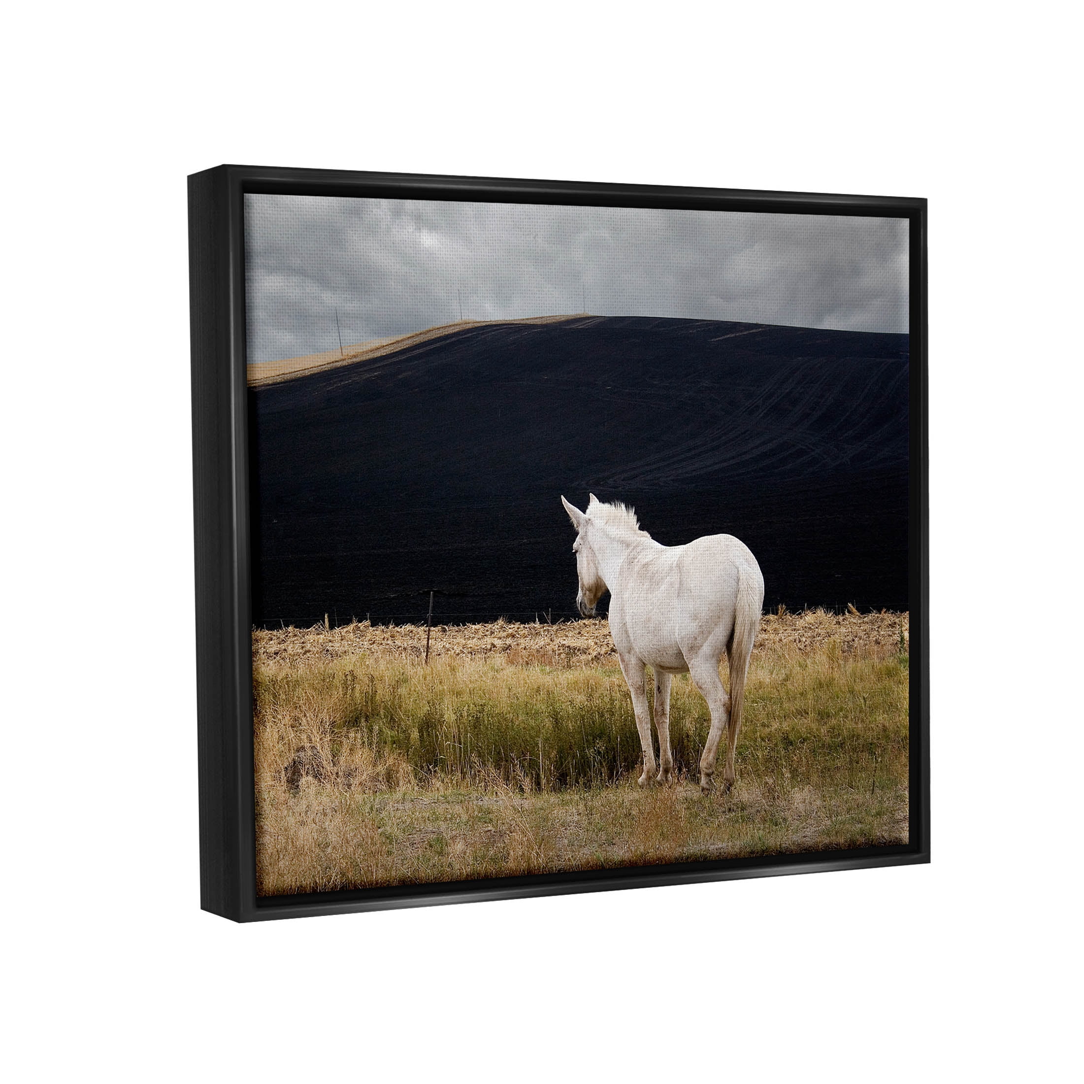 Stupell Industries Lone White Horse Vast Country Pasture Photograph Jet Black Floating Framed Canvas Print Wall Art, Design by David Lorenz