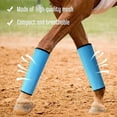 thumbnail image 6 of MOMOJIA 4Pcs Horse Fly Boot Breathable Mesh Horse Leggings Protective Cover Leg Wraps Horse Equipment for Preventing Flies, 6 of 8