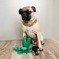 thumbnail image 4 of Pawty Animals Vibes & Chill Pack, 4 of 4