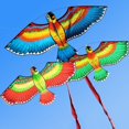 thumbnail image 5 of Jouets d'Extérieur Design Perroquets 3D Cerf Volant pour Enfants Adultes, 5 of 5