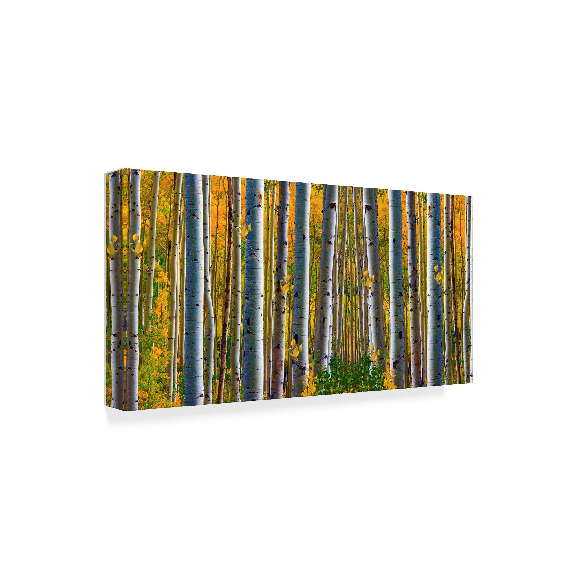 Trademark Fine Art 'Nature Collection 21' Canvas Art by Ata Alishahi
