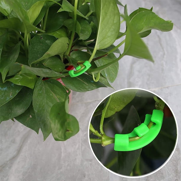 Paquete de 20 clips para plantas de 90 grados para controlar el crecimiento de las plantas, adecuado para doblar tallos de plantas y cambiar la dirección del crecimiento (verde) ZefeiWu 1327533598460
