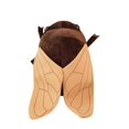 thumbnail image 5 of VOTRUDI Cicada Plush Pillow 18 Inch - Soft Stuffed Animal, Lumbar Support for Office/Home/Car Decor, Cute Holiday Gift for Kids & Adults, Brown, 5 of 5