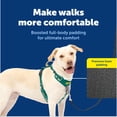 thumbnail image 3 of Arnés para perro PetSafe Easy Walk Comfort antitirones, talla grande, verde, 3 of 8