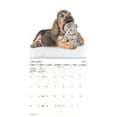 thumbnail image 3 of Trends International 2025 Buddies Wall Calendar & Push Pins, 3 of 5