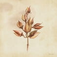 thumbnail image 2 of Marrott, Stephanie 20x20 Gold Ornate Wood Framed with Double Matting Museum Art Print Titled - Seeds In Fall, 2 of 4