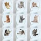 thumbnail image 5 of Pegatinas de pared con bonitos gatos para habitaciones de niños, vinilo extraíble, dibujos animados de animales, gatito, sala de estar, dormitorio, decoración del hogar, papel tapiz, 5 of 5