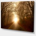 thumbnail image 3 of Design Art - Chemin vers la Lumière du Soleil en Forêt d'Automne, 3 of 4