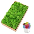 thumbnail image 2 of Plantas artificiales de bricolaje, musgo preservado, simulación de plantas falsas, decoración de pared de paisaje, musgo para decoración del hogar, accesorios de jardín, 2 of 5