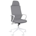 thumbnail image 1 of MAGMALIFE Silla de Oficina Fokus Ergonómica con Cabecera, Reclinación Ajustable, Malla Transpirable, Asiento de Alta Densidad, Ruedas 360° Antirrayas y Altura Regulable, Soporta 150 kg Gris, 1 of 8