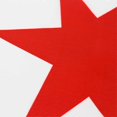 thumbnail image 3 of Drapeau Chicago 90*150cm, 3 of 5