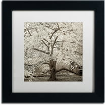 Trademark Fine Art "Hampton Magnolia II" Canvas Art by Alan Blaustein, White Matte, Black Frame