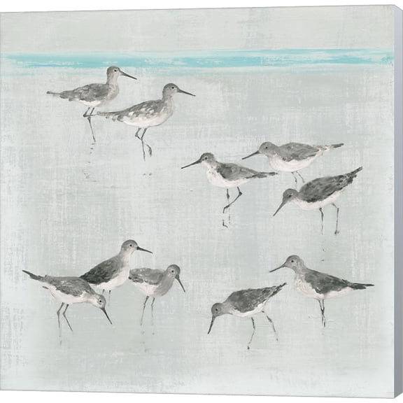 Sandpipers Gray by Avery Tillmon, Canvas Wall Art