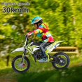 thumbnail image 6 of Seipouy 49cc Kids Dirt Bike, Gas Powered 2-Stroke Mini Motocross Motorcycle, Off-Road Dirtbike for Kids 6-12 with Front/Rear Disc Brakes, Shock Absorption, Soft Seat Cushion, 6 of 9