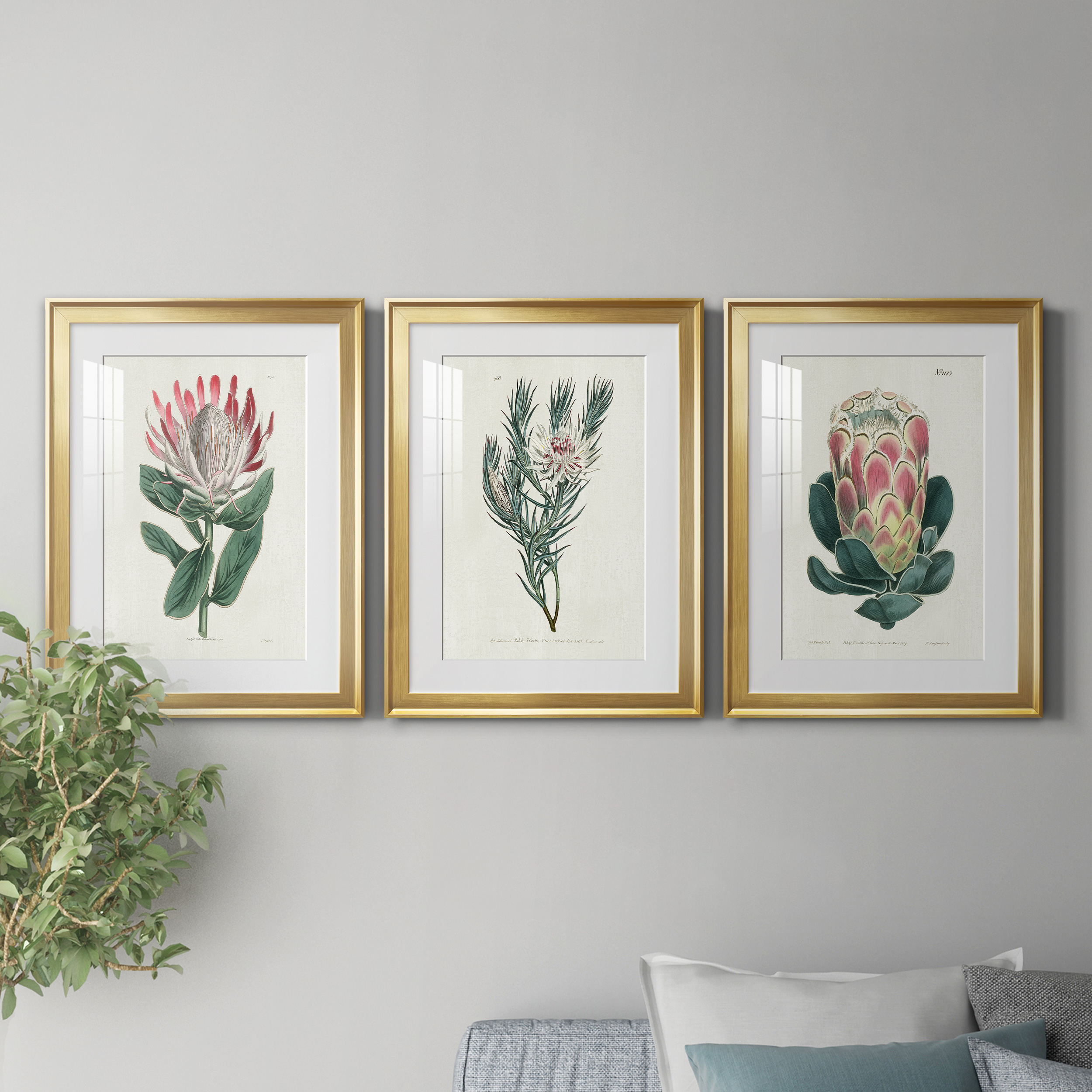 Protea N13 Premium Framed Prints Set of 3 - Ready to Hang - 22 x 30 Each - Gold Frame