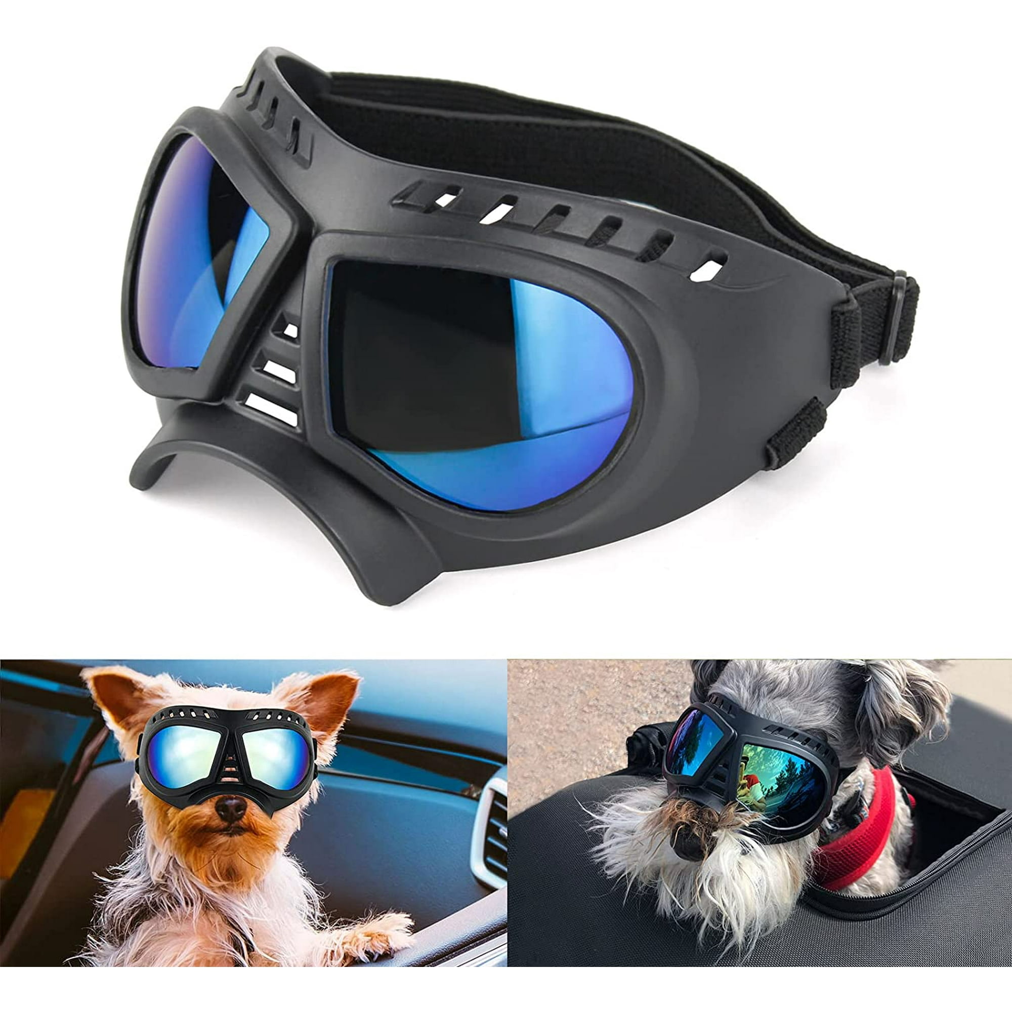 Why Should Dogs Wear Goggles