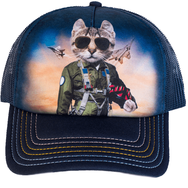 cat ball cap