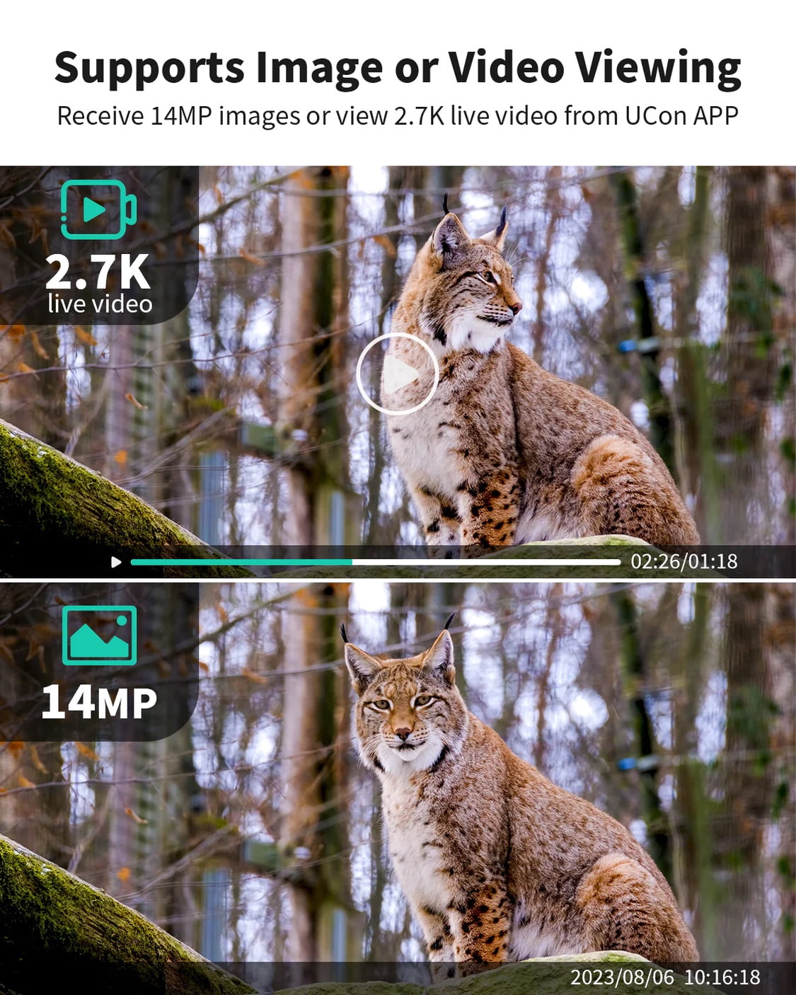 Boavision 4G Cellular Solar IP66 Waterproof 2.5K 14 MP Hunting Game Camera