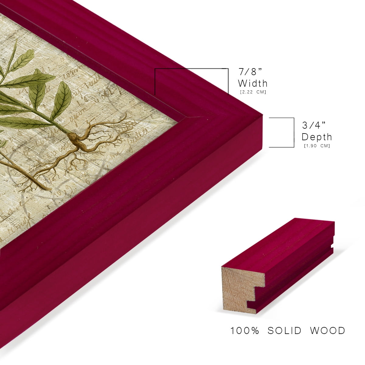 Garden Verses I -Framed Print w/glass-Cherry Red