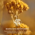 thumbnail image 4 of Aceite Limpiador L'Occitane Immortelle Precious 200 ml, 4 of 5