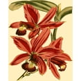 thumbnail image 2 of Vision Studio 15x18 Black Ornate Wood Framed with Double Matting Museum Art Print Titled - Mini Orchid Splendor II, 2 of 4