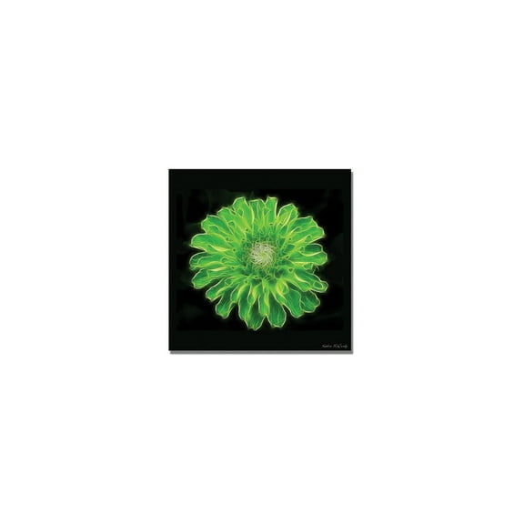 Trademark Art "Green Zinnia" Canvas Art by Kathie McCurdy