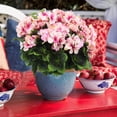 thumbnail image 4 of Morttic 2 Pcs Artificial Geraniums for Outdoor Silk Geranium Flowers Red Artificial Geranium Bush Faux Flowers Geraniums Branch for Garden Patio Grave Cemetary Vase Table Centerpiece Indoor Decor, 4 of 6