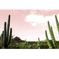 thumbnail image 2 of Bill Carson Photography 32x23 Gold Ornate Wood Framed with Double Matting Museum Art Print Titled - Cactus Landscape Under Pink Sky, 2 of 4