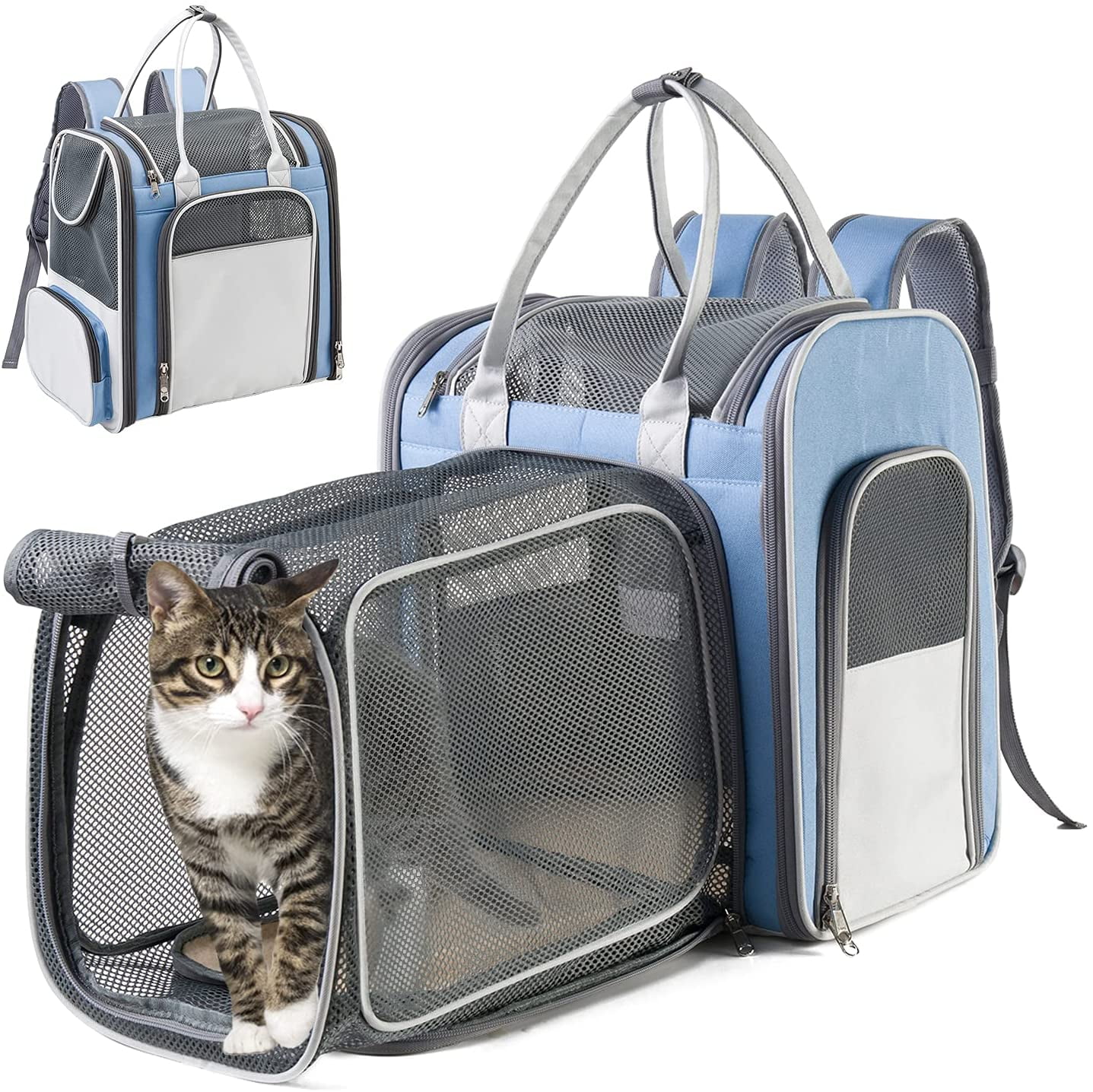 mesh cat backpack